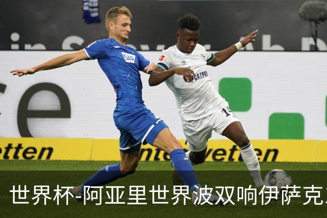 世界杯-阿亚里世界波双响伊萨克1射2传 瑞典5-1突尼斯