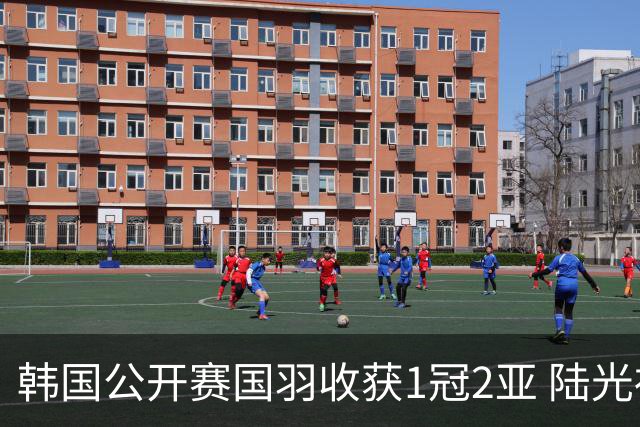 韩国公开赛国羽收获1冠2亚 陆光祖问鼎王祉怡退赛